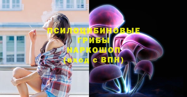 прущие крисы Алзамай