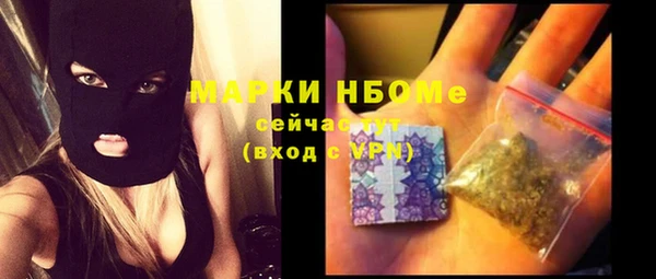 ешки Алексин