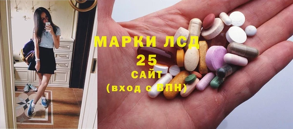 ешки Алексин