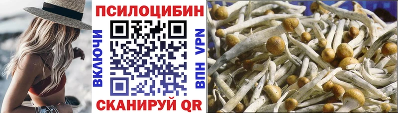 Псилоцибиновые грибы Cubensis  что такое наркотик  Иннополис 