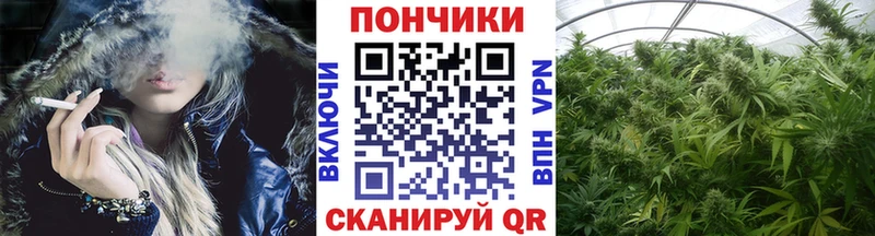 даркнет Telegram  Иннополис  МАРИХУАНА марихуана  где купить наркотик 